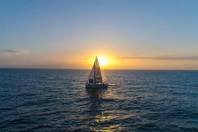Premium Yacht Private Charter - Your 3-hour plan: wildlife time plus a swim or snorkel stop