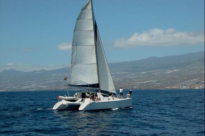Prestigious cruiser private charter - Key Things I’d Focus On Before Booking