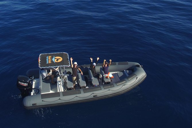 Private 2 hour Whale Watching Tour - Key highlights worth planning for
