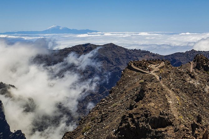 Private 8 hours Tour to El Teide from Tenerife Hotel with driver/guide - Choosing your time slot: day views, or Teide at dawn