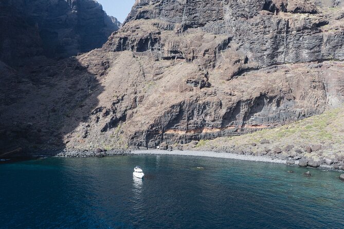 Private Boat Tour on Royal Ocean Yacht, Tenerife - Price and value for a private group of up to 8