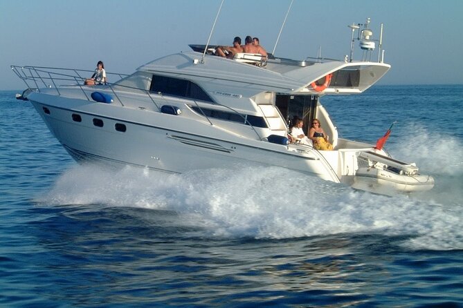 Private Boat Tour on Royal Ocean Yacht, Tenerife - Spotting whales and dolphins near Las Galletas