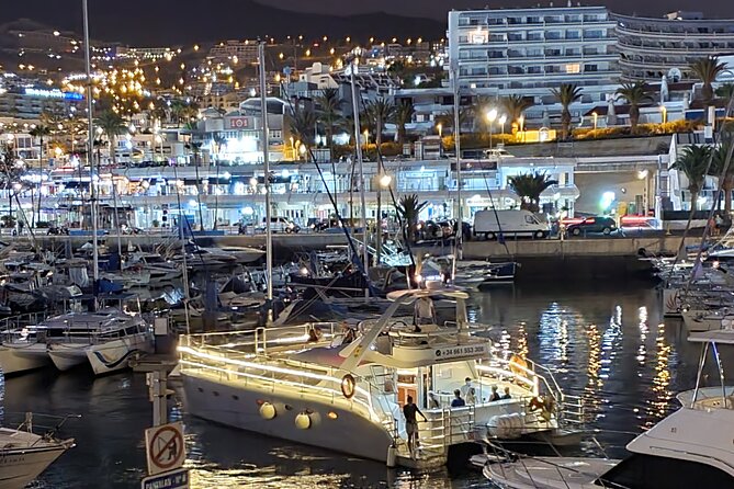Private Catamaran Charter with Transfer, Buffet and Snorkeling - Wildlife chances in their natural habitat: dolphins, whales, turtles