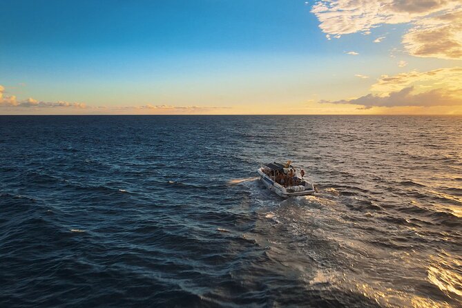 private charter 3 Hours Whale Encounter puerto colon adeje - Your 3-Hour Charter: What the Time Budget Really Buys You