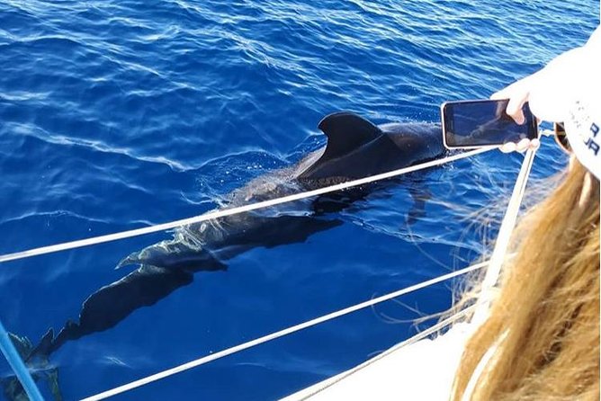 Private Charter in Tenerife south max 7 people - Weather and how to plan your day around it