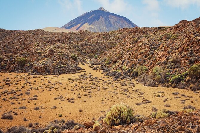 Private excursion to Teide National Park - The guide makes the day: English support and real flexibility