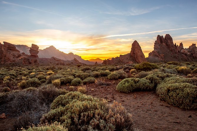 Private excursion to Teide National Park - Who this private Teide trip is best for
