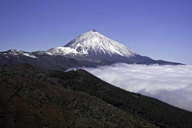 Private Excursions For Cruise Ship Passengers - Teide National Park at 3,718 Meters: Views, World Heritage, and Photo Stops