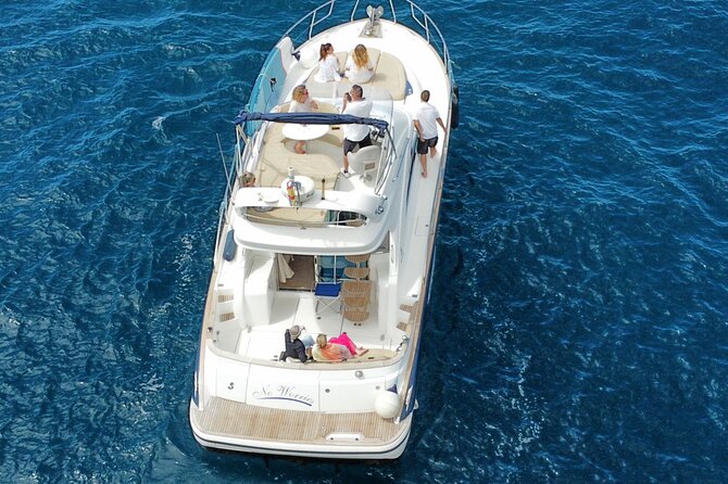 Private Luxury Motor Boat 2, 3 and 4 Hour Charters - Wildlife Chances Off Tenerife, What You Can Realistically Hope For