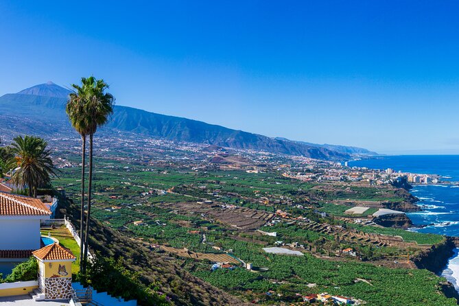 Private nature and culture tour of Teide and northern Tenerife - How a private Teide day actually feels