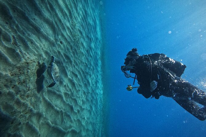 Private Scuba Diving in Tenerife – Certified Instructor & Photos - Los Cristianos shore setup, and why it works for first-timers
