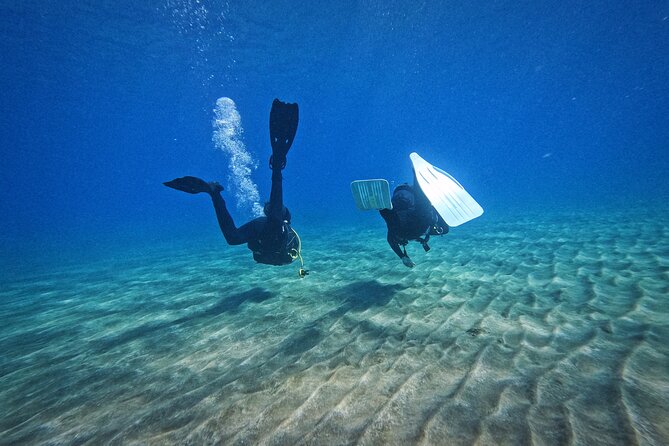 Private Scuba Diving in Tenerife – Certified Instructor & Photos - Equipment, safety checks, and the vibe inside the briefing