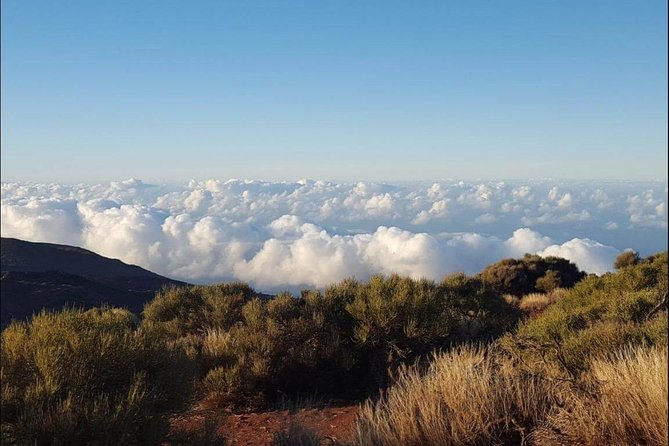 Private Shore Excursion in Tenerife from your Cruise Ship - A Private Tenerife Day From Your Cruise Port