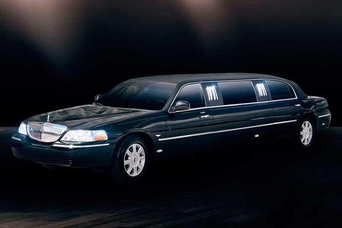 Private South Tenerife Airport Transfer to South Hotels - Meet-and-greet pickup that reduces arrival stress