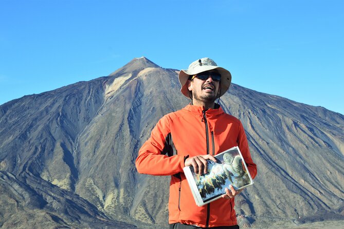 PRIVATE TOUR Teide National Park: Hiking and Stargazing - The pine forest ascent: easier pace, better views
