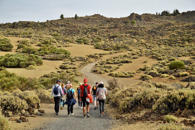 PRIVATE TOUR Teide National Park: Hiking and Stargazing - Pickup in Tenerife, and why the 3:00 pm start matters
