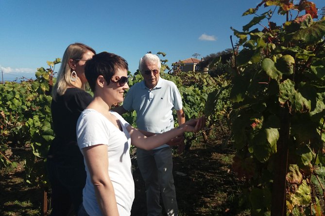 Private Wine Tasting Tour - Food, coffee breaks, and the pacing that prevents fatigue