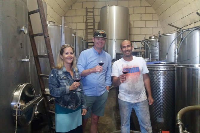 Private Wine Tasting Tour - The core tasting flow: two wineries at the Tenerife Wine Experience