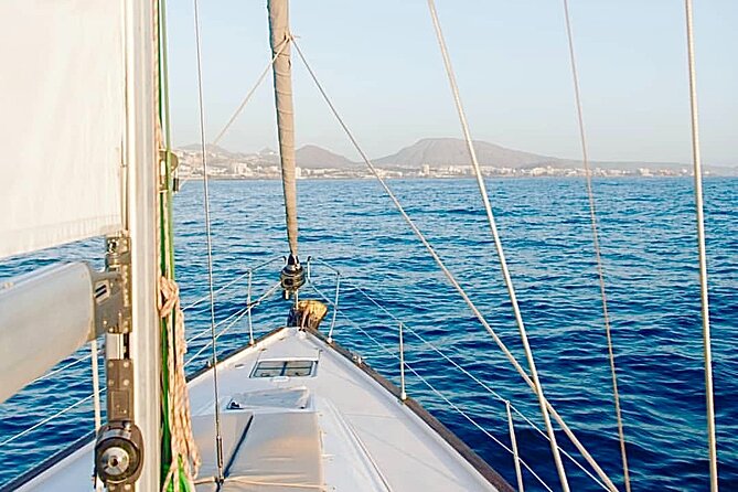PRIVATE YACHT CHARTER VOYAGE, Food & Drinks included! - Wildlife Chances: Whales, Dolphins, and the Captain Who Explains What You’re Seeing