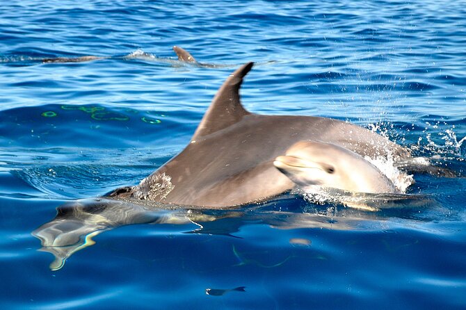 Private Yacht Excursion from Puerto Colon 3 hours - Price and value: is $543.07 per group actually a good deal?