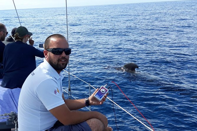 Private Yacht Tour With Whale and Dolphin Watching 33 Foot Boat - Should You Book This Private Whale and Dolphin Yacht Tour?