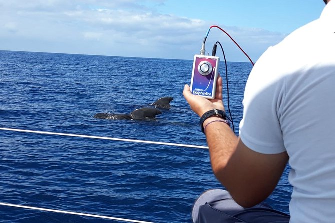 Private Yacht Tour With Whale and Dolphin Watching 42 Foot Boat - Champagne, unlimited drinks, and snacks that make the cruise feel easy