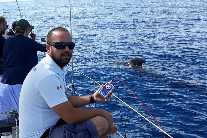 Private Yacht Tour With Whale and Dolphin Watching 42 Foot Boat - 3 hours versus 6 hours, and morning versus afternoon