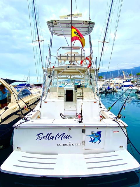 Puerto Colón: Coastal Boat Cruise with Swimming and Snacks - Dolphin watching and marine life time in Costa Adeje