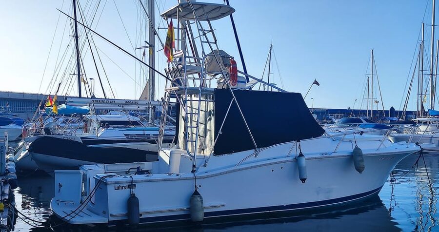 Puerto Colón: Coastal Boat Cruise with Swimming and Snacks - What could be annoying: wind, seasickness, and fewer wildlife sightings