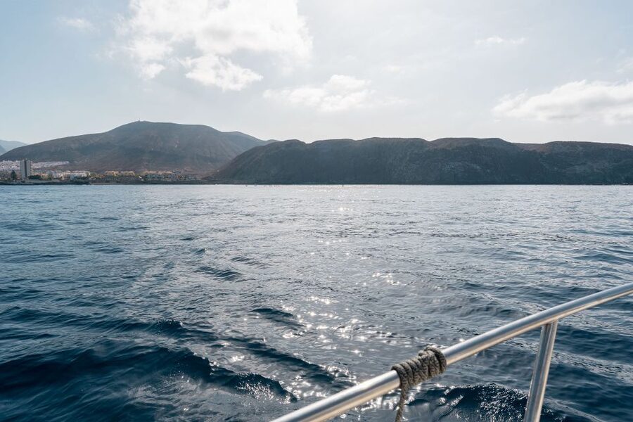 Puerto Colón: Coastal Boat Cruise with Swimming and Snacks - The 3-hour route: Adeje’s south coast between Los Cristianos and turtle cove
