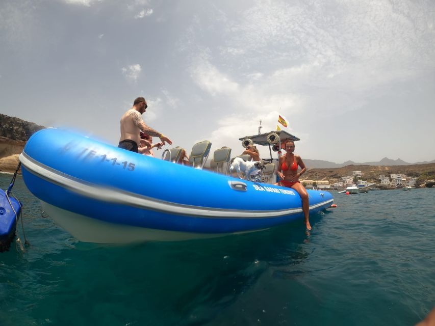 Puerto Colon: Dolphin and Whale Watching Speedboat Cruise - The 1 Bay Stop: Jump In, Snorkel, Then Eat and Cool Off