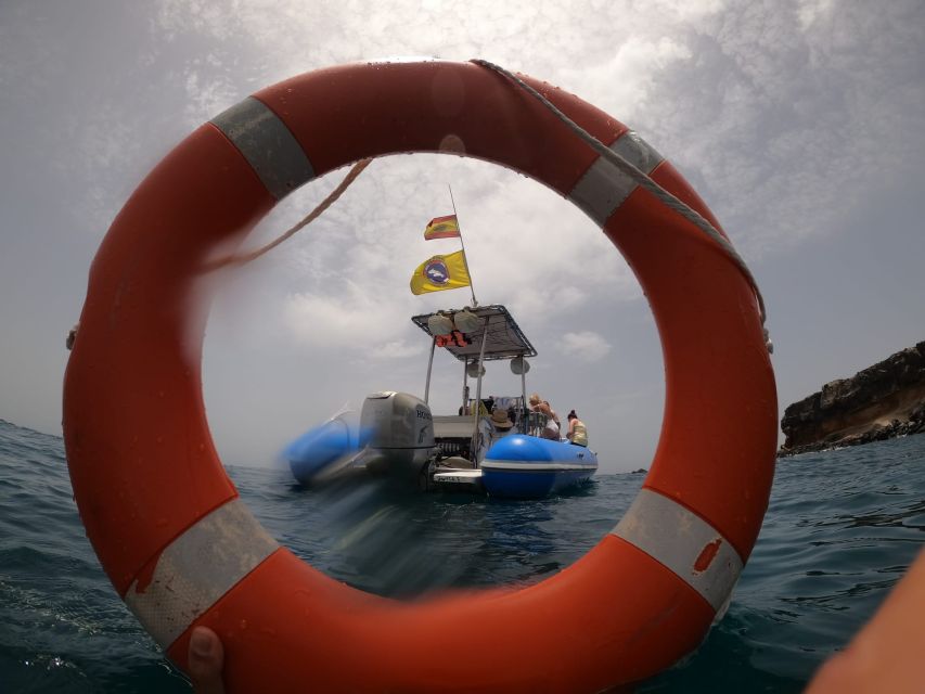 Puerto Colon: Dolphin and Whale Watching Speedboat Cruise - How 3 Hours on a Speedboat Fits Your Day