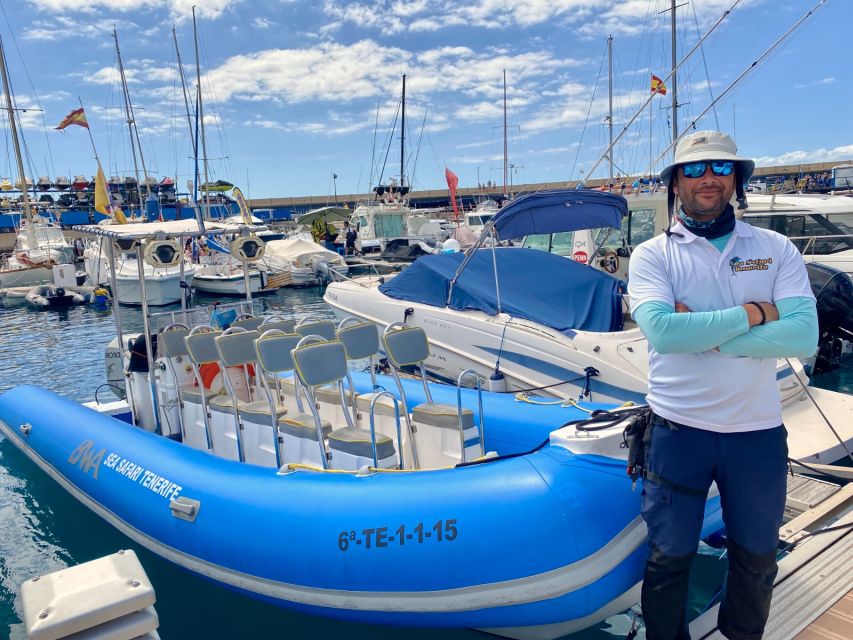 Puerto Colon: Dolphin and Whale Watching Speedboat Cruise - Who This Tour Suits Best (And Who Should Rethink It)
