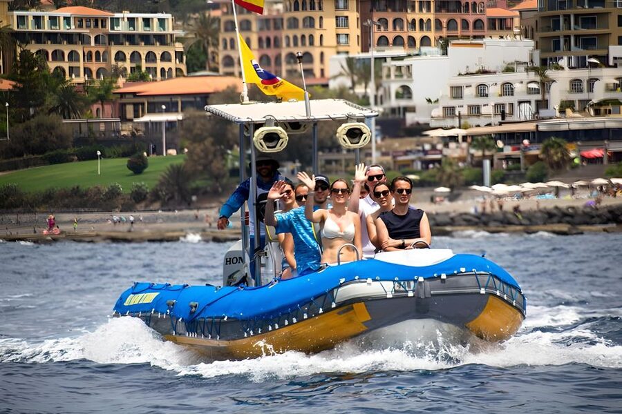 Puerto Colon: Dolphin and Whale Watching Speedboat Cruise - Whales and Dolphins in the Atlantic: What the Captain Tries to Spot