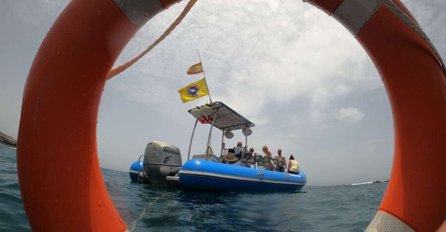Puerto Colon: Dolphin and Whale Watching Speedboat Tour - Puerto Colón’s speedboat style: why small groups feel better
