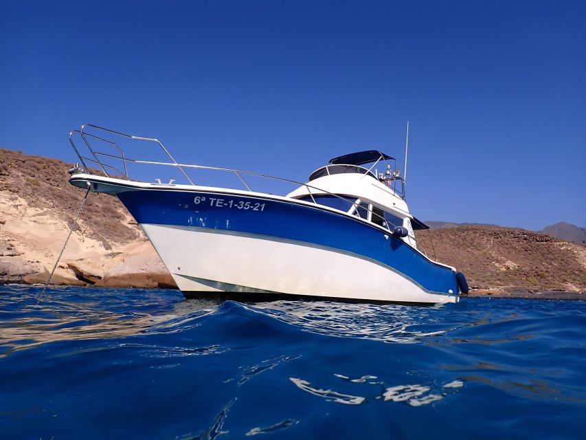 Puerto Colon : Shared/private boat trip with snack & Drinks - Snorkeling in the sea: what to expect and how to prepare