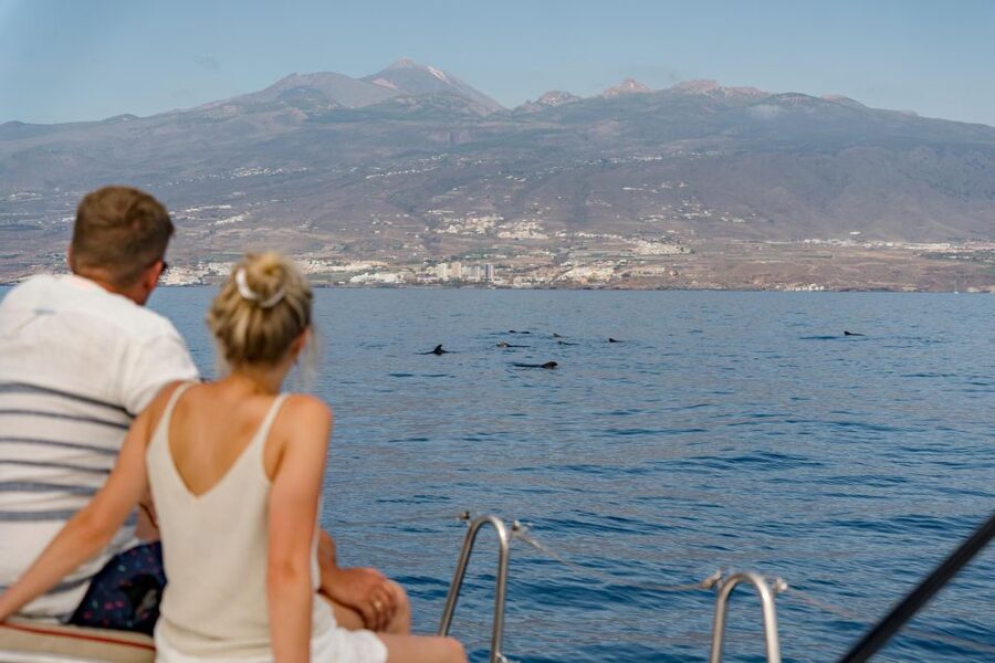 Puerto Colon: Whale and Dolphin Watching Yacht Trip - What is included, what is not, and what to bring