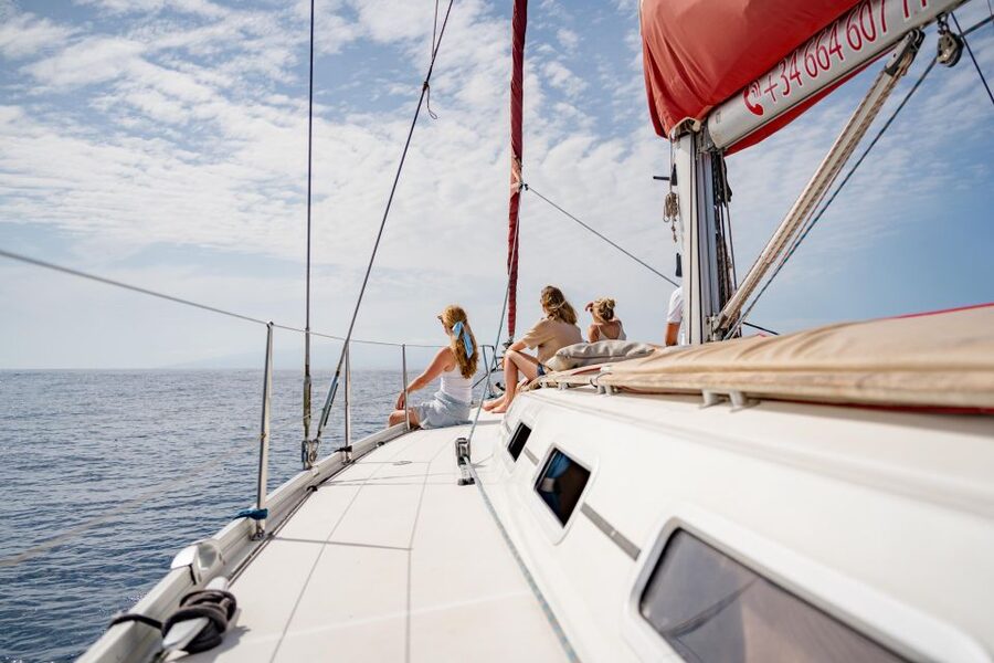 Puerto Colon: Whale and Dolphin Watching Yacht Trip - Comfort, group size, and the guide setup