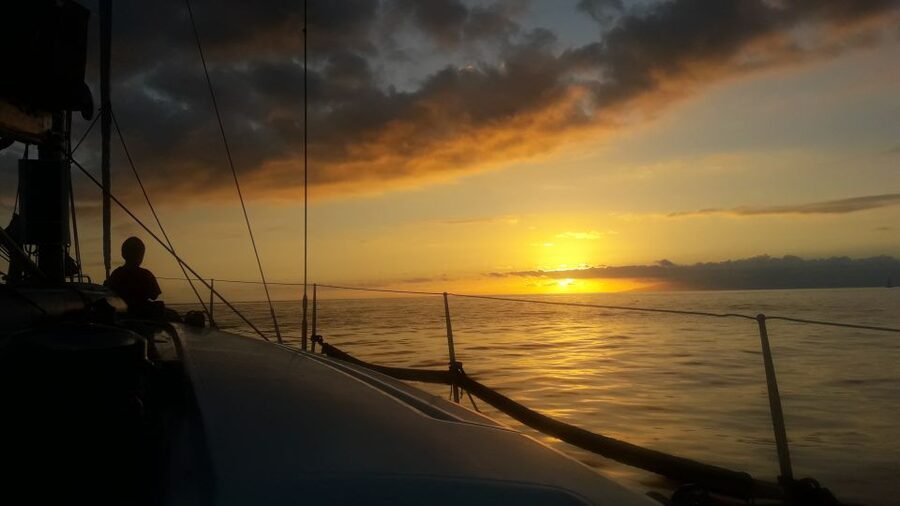 Puerto Colon: Whale-Watching Sailing Tour with Meal & a Swim - Key Things I’d Watch for on This Whale-Watching Sail