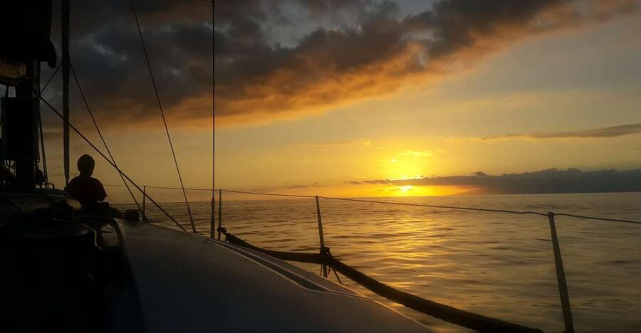 Puerto Colon: Whale-Watching Sailing Tour with Meal & a Swim - Finding Mola Mola 2 at Pantalan 1 in Puerto Colón