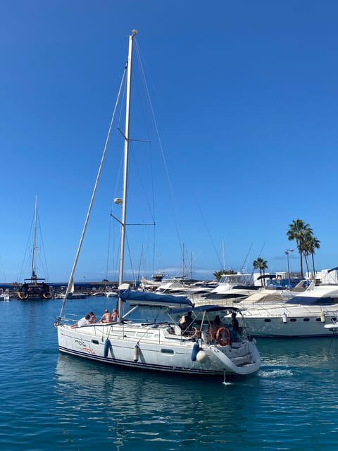 Puerto Colon: Whale-Watching Sailing Tour with Meal & a Swim - Who This Tour Fits Best (and Who Should Skip It)