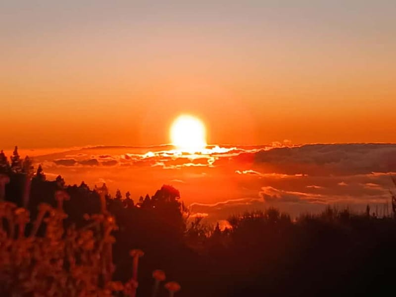 Puerto Cruz: VIP Teide Sunset & Stars, Guachiche Lunch+Cava - Timing and return: you will be done by late evening