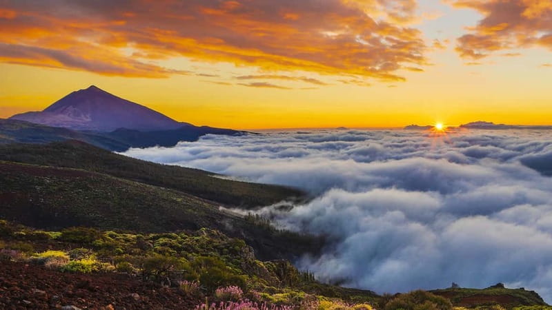Puerto Cruz: VIP Teide Sunset & Stars, Guachiche Lunch+Cava - El Portillo Visitor Center: coffee, a chance to reset, and nighttime positioning