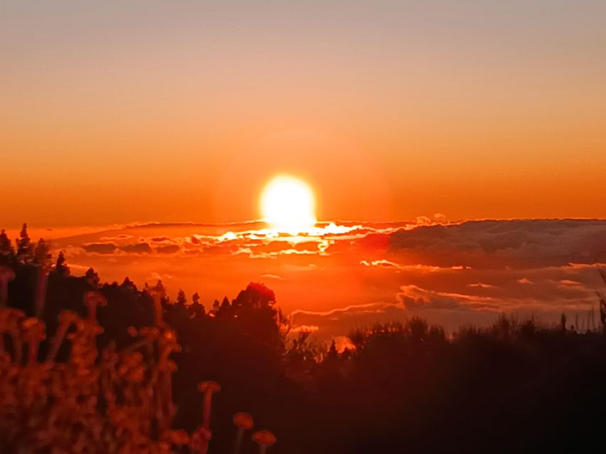 Puerto Cruz: VIP Teide Sunset & Stars, Guachiche Lunch+Cava - Guide energy: Manolo’s vibe and why it matters