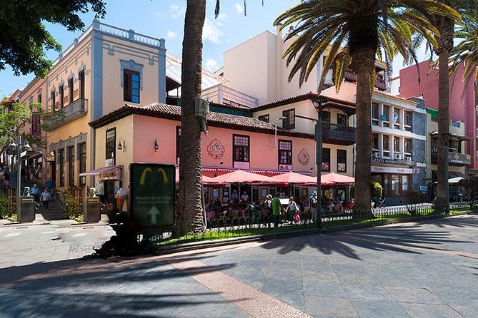 Puerto de la Cruz City Tour with Transfers - Playa Jardín and the promenade: gardens, waterfalls, and sea views