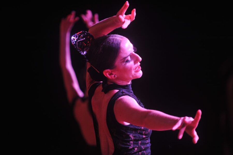Puerto de la Cruz: Flamenco Show at Casa Ábaco with a Drink - Casa Ábaco: An 18th-Century Mansion That Feels Like a Stage