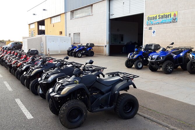 Quad Bike Safari - Price and value: what $259 buys you in real terms