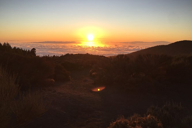 Quad tour (option : Teide morning or Sunset tour) - From Arona Up to Boca Tauce: The Route Feel