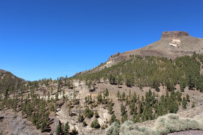 Quad Tour to the Teide National Park (3.5H) - Starting in Arona: a 3.5-hour Teide quad day with a small group