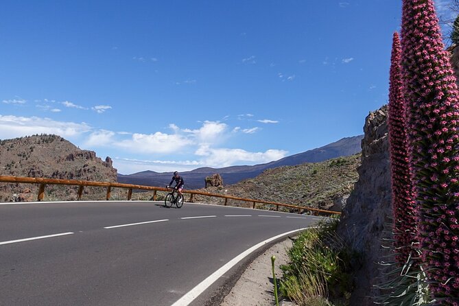 Road Cycling Tenerife - Teide Route - From Playa de las Américas to Teide country, with a small group